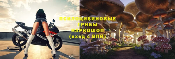прущие крисы Тайга