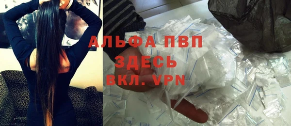 трава Аркадак