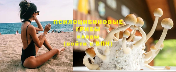 дмт Сясьстрой