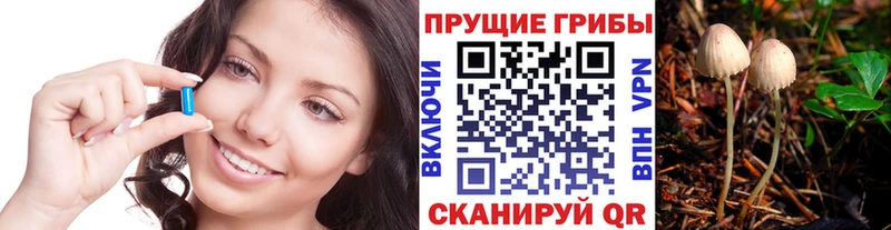 что такое наркотик  Раменское  Галлюциногенные грибы Magic Shrooms 